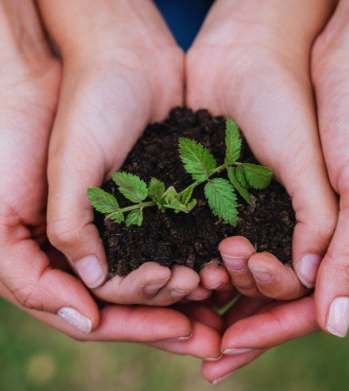 Soluciones de Investigación e Innovación Ambiental